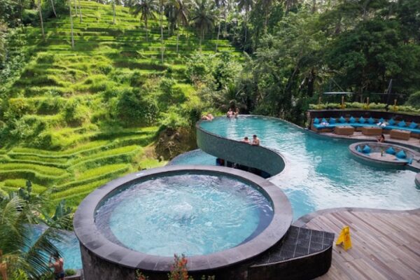 Ubud Monkeys Forest Sanctuary and Cretya Day Club - Image 3