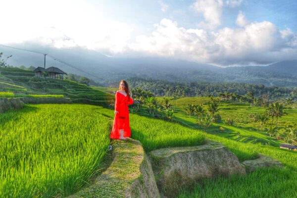 North Bali World Heritage Site Tours - Image 2